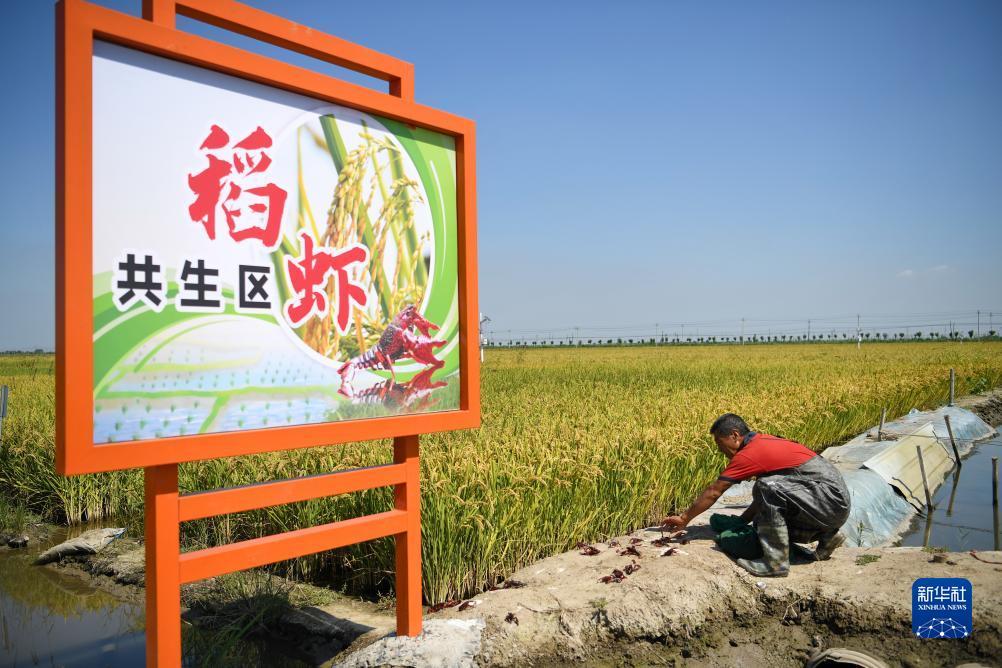ea游戏平台下载