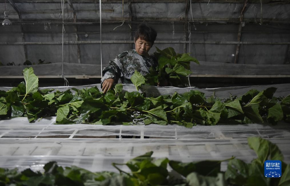 捕鱼游戏网页